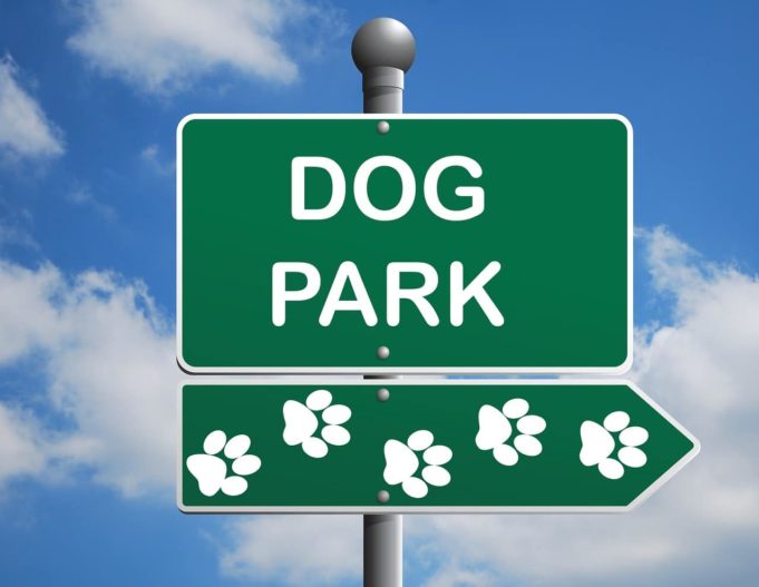 Six Things To Remember When In Dog Parks