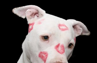 Coping With Losing Your Best Friend