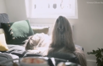A Supermodel Dog Named Iraida