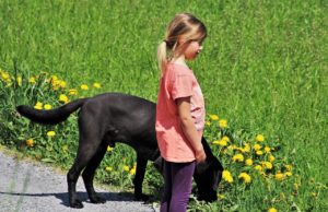 Seven-Year-Old Girl With Cancer Requests Letters And Photos From Other People’s Dogs