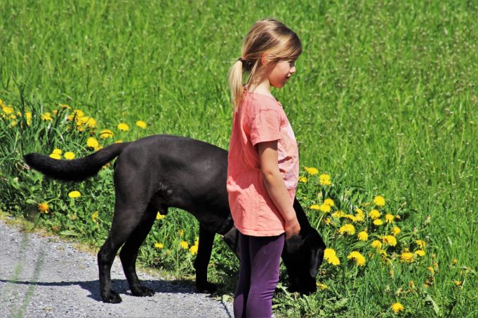 Seven-Year-Old Girl With Cancer Requests Letters And Photos From Other People’s Dogs